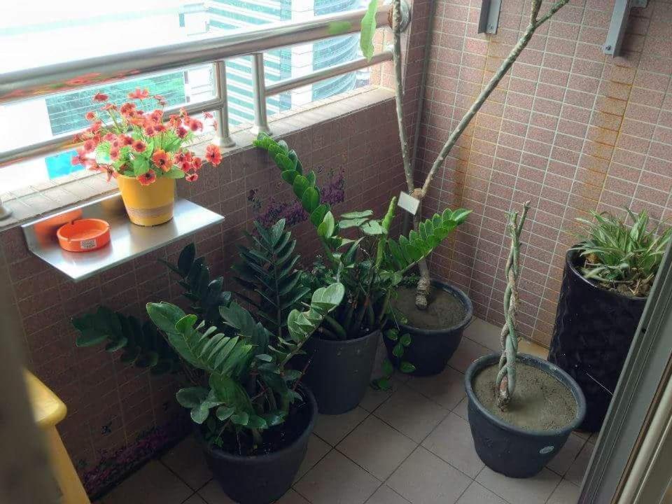 דירות גאושיונג Jia Jia House מראה חיצוני תמונה